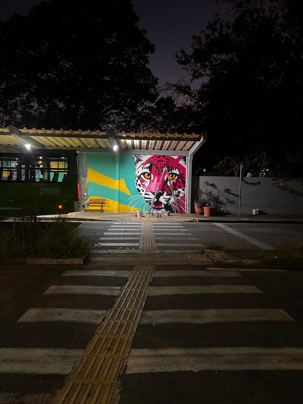 Terminal de ônibus — Barão Geraldo — 4